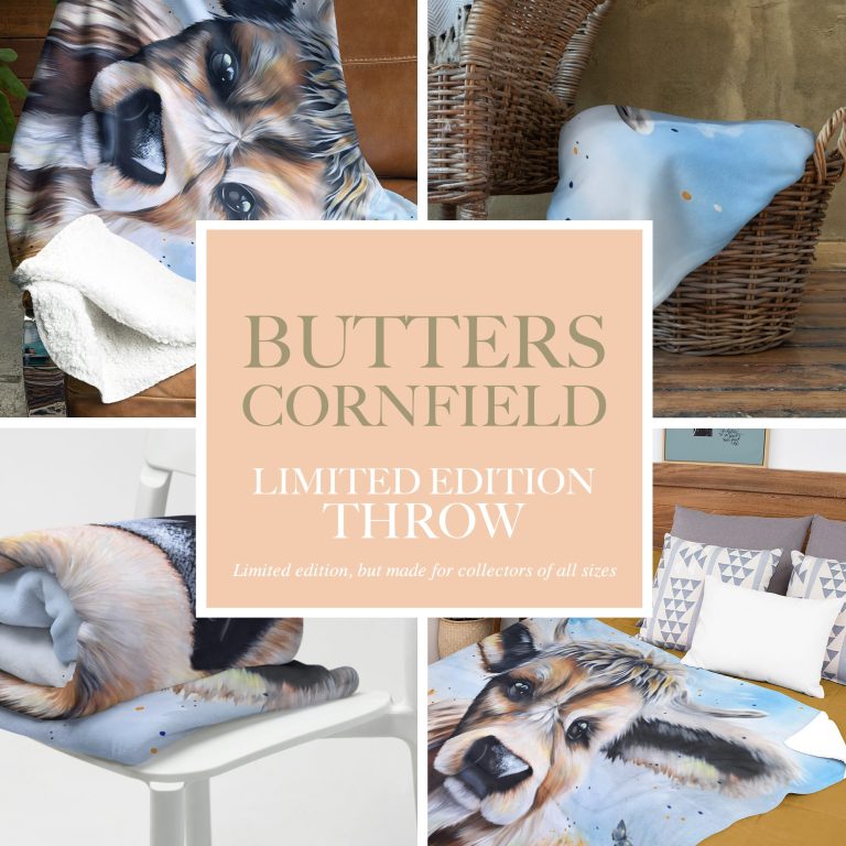 Colourful throw blanket featuring playful animal designs placed in a cozy setting.