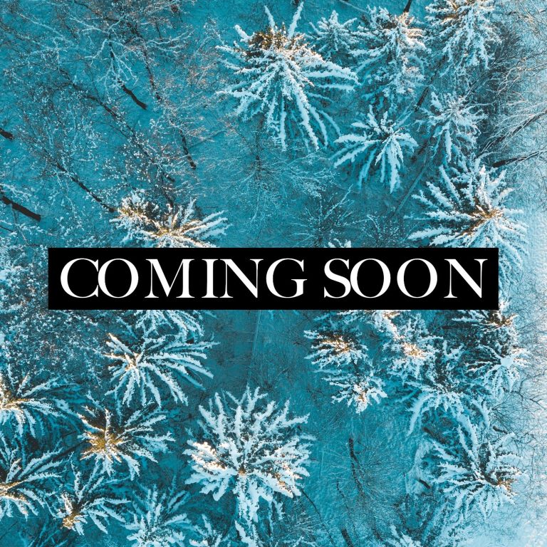 A smiling lamb portrait against a colourful, blurred background.