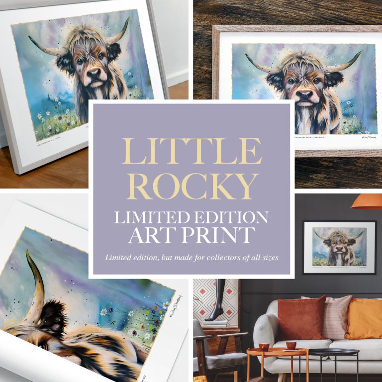A framed art print of a Highland cow named "Little Rocky" displayed in a cosy living room.