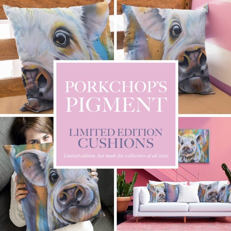 Colourful cushions featuring a pig's face design, with a promotional text overlay.