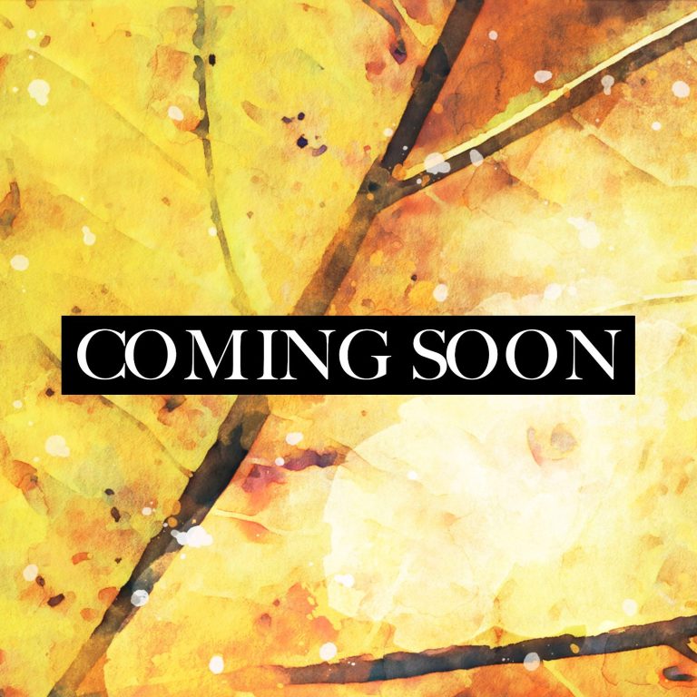 A smiling lamb portrait against a colourful, blurred background.